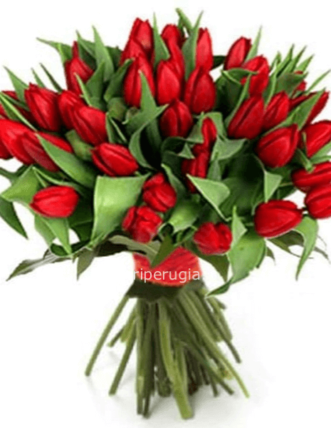 Bouquet di tulipani