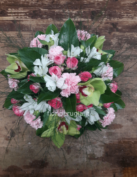 Composizione  Fabiola