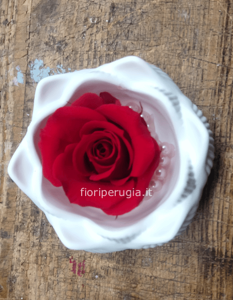 Rosa Evelina