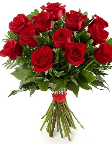 Bouquet Rosemary 13 rose Rosse