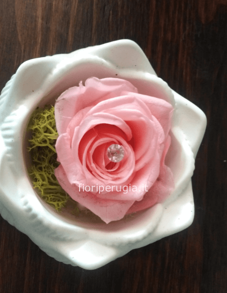 Rosa Evelina Rosa