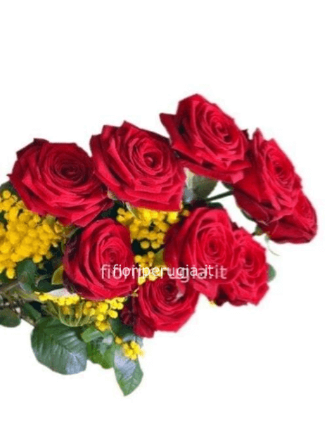 Rose rosse con mimosa