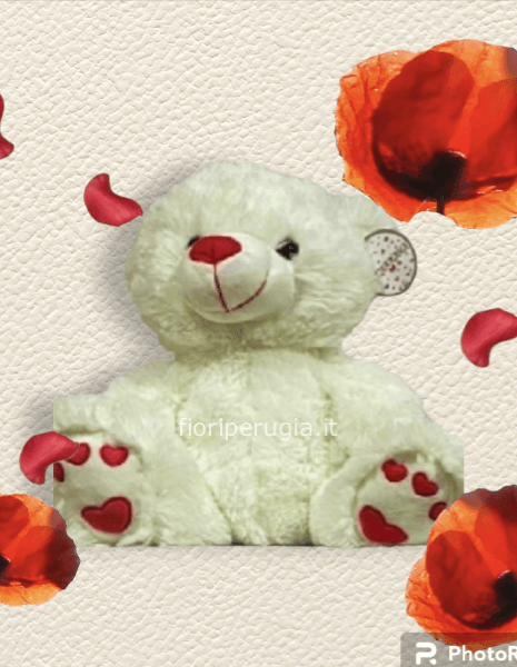 Orso Balù