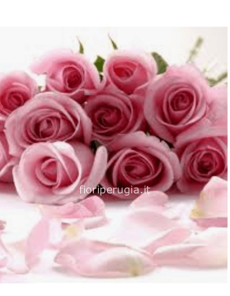 Rose rosa da comporre in mazzo per numero di steli a gambo lungo