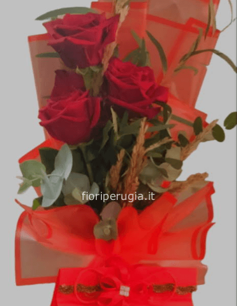 Rose Rosse Dolce Perugia