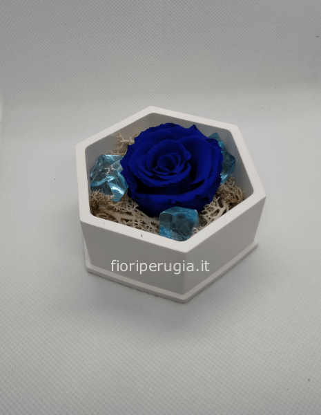 Rosa Mia blu