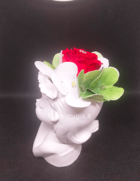 Rosa stabilizzata Delice