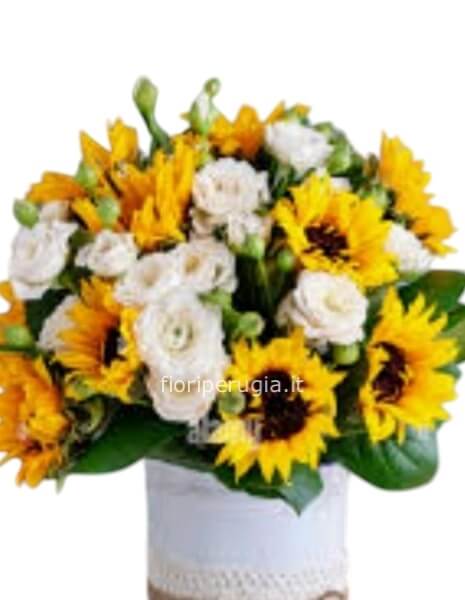 Flowers Box Sun flowers 