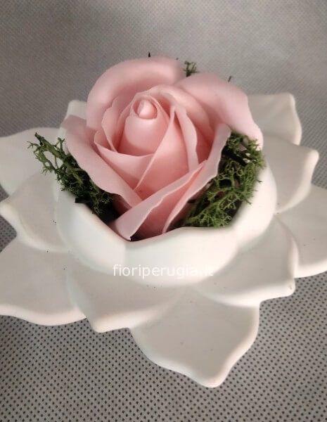 Rosa Emma pinck