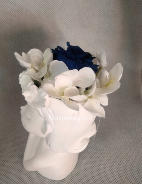 Rosa stabilizzata Delice blu